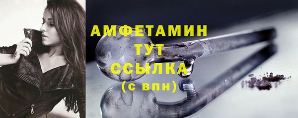 гидра Белокуриха