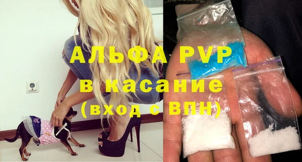 гидра Белокуриха